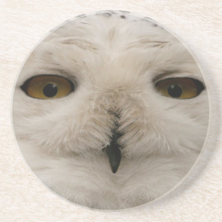 Porta-copos Snowy Owl