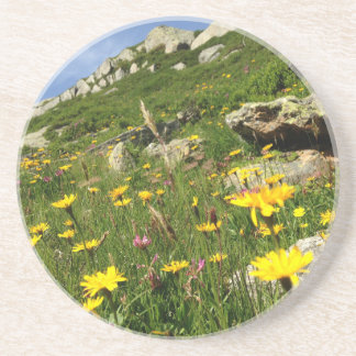 Porta-copos Solte a sua imaginação! Flores alpinas