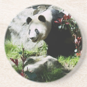 Porta-copos Sorriso da panda