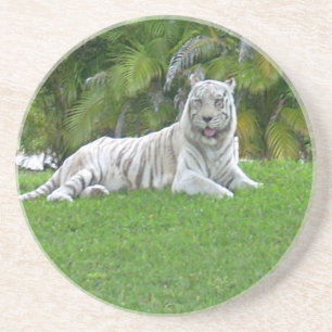 Porta-copos Sorriso de Tigre Branco e Palmeiras