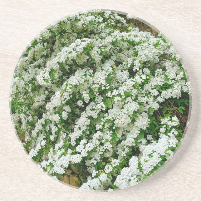 Porta-copos Spirea Arguta (Frente)