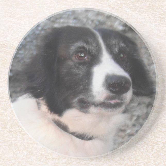 Porta copos Sprollie Smiling (Frente)