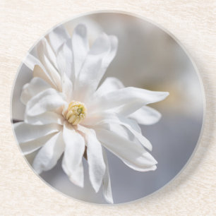 Porta-copos Star Magnolia Bloom