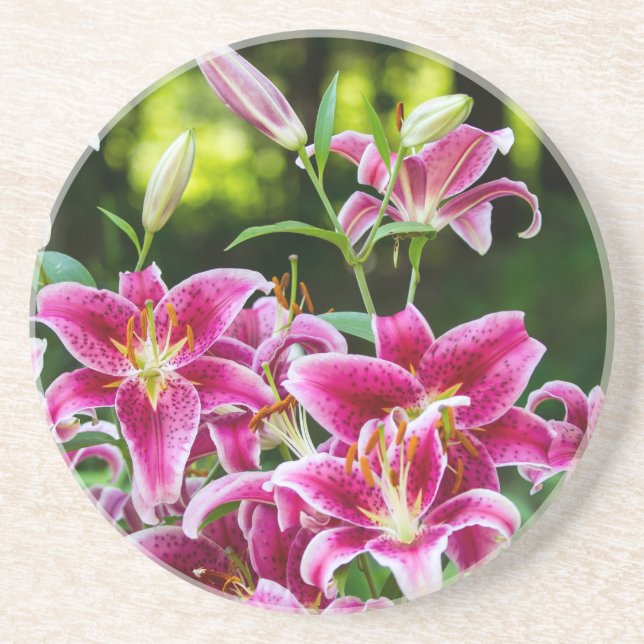 Porta-copos Stargazer Lily (Frente)