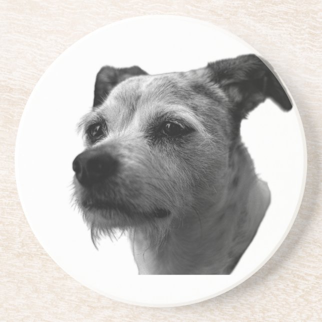 Porta-copos Steady Companion – Parson Russell Terrier (Frente)