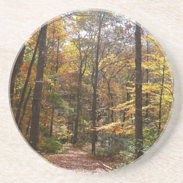 Porta-copos Sunlit Fall Trail no Parque Estadual de Laurel Hil (Frente)