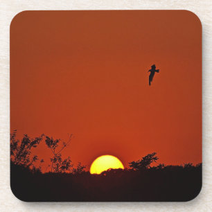 Porta copos sunset