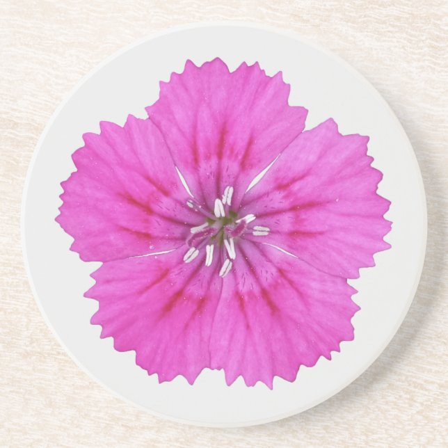 Porta-copos Suporte de arenito Pink Dianthus (Frente)