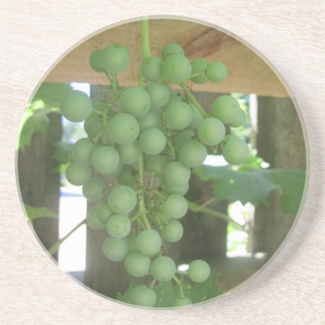 Porta-copos Suportes de Arenito Grapevine (Frente)
