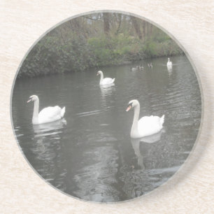Porta copos Swans Nadando