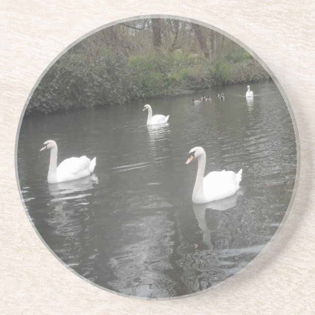 Porta copos Swans Nadando (Frente)