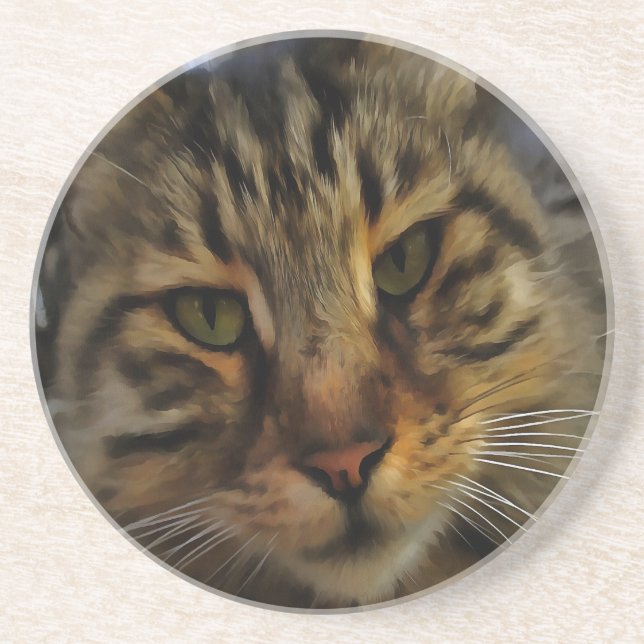 Porta-copos Tabby Cat Artístico Retrato v2 (Frente)
