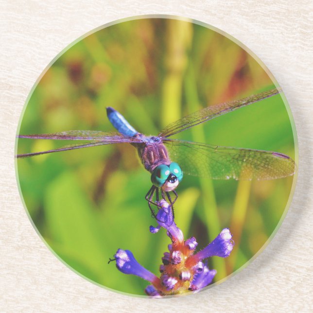 Porta-copos Teal Rainbow Dragonfly (Frente)