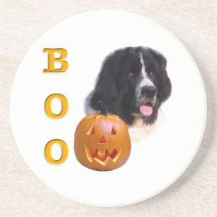 Porta-copos Terra Nova - Halloween Boo