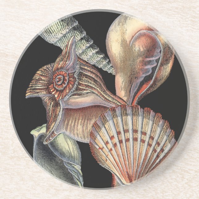 Porta-copos Tesouros do mar (Frente)