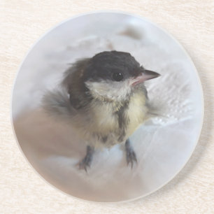 Porta-copos Tidi, meu Pássaro, o Parus Major