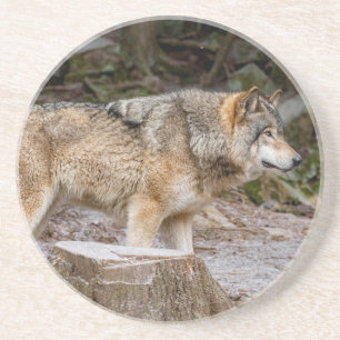 Porta-copos Timber Wolf