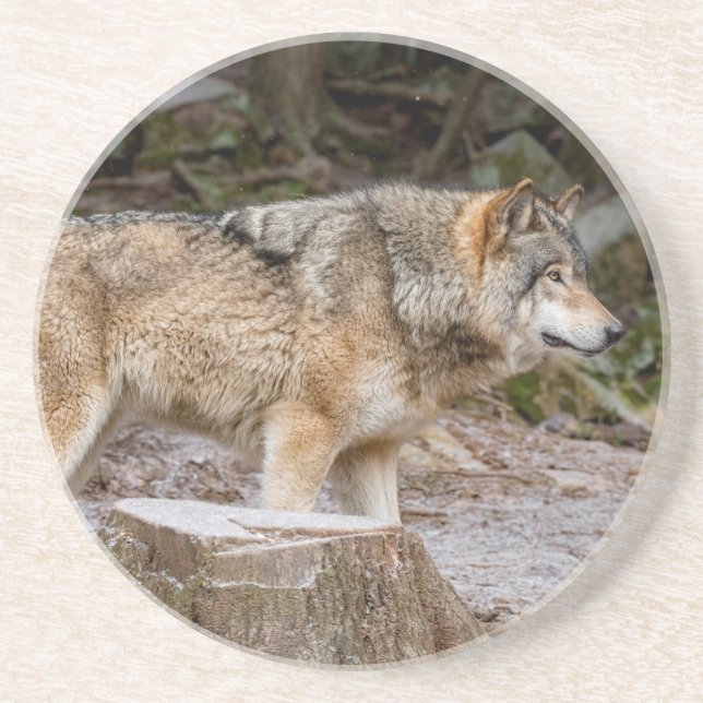 Porta-copos Timber Wolf (Frente)