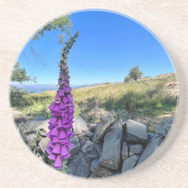 Porta-copos Tranquilidade do campo inglês (Frente)