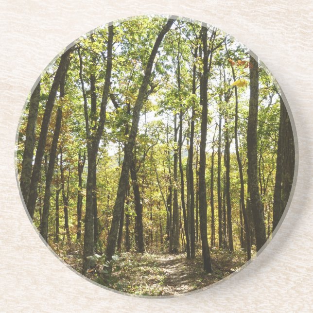 Porta-copos Trilha Appalachian em outubro em Shenandoah (Frente)