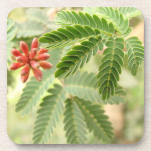 Porta copos tropical da cortiça das folhas