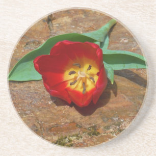 Porta-copos Tulipa do vermelho do primavera