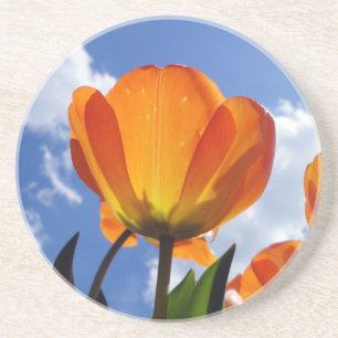 Porta-copos Tulipa Laranja, Céu Azul