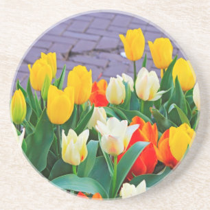 Porta-copos Tulipas