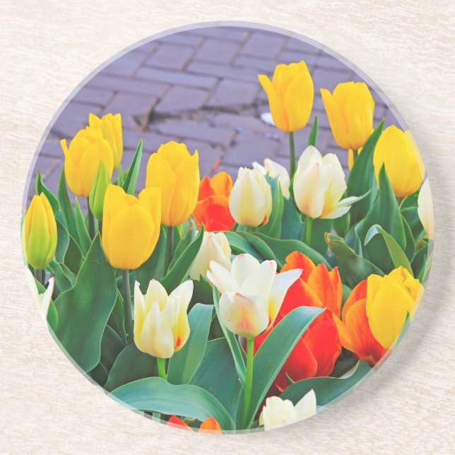 Porta-copos Tulipas (Frente)