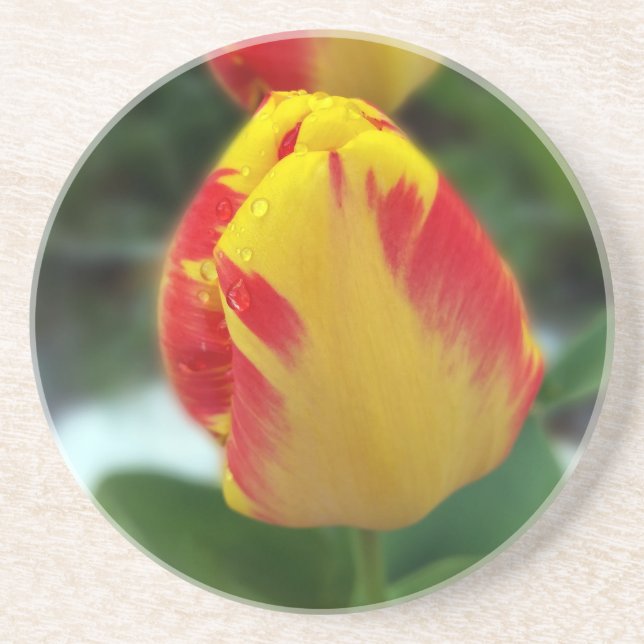 Porta-copos tulipas vermelhas amarelas (Frente)