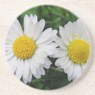 Porta-copos Two cute, white daisies drink coaster