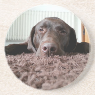 Porta-copos um lindo cachorrinho de chocolate dormindo em uma