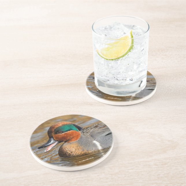 Porta-copos Um Pato de Teal de Asas Verdes Chatty no Pond (Lateral)