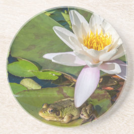 Porta-copos Uma rã sob uma flor de nenúfar