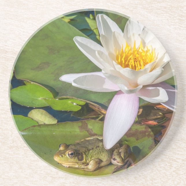 Porta-copos Uma rã sob uma flor de nenúfar (Frente)