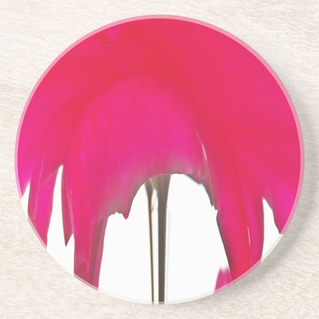 Porta-copos Uma Rosa vermelha maravilhosa sob o céu branco (Frente)