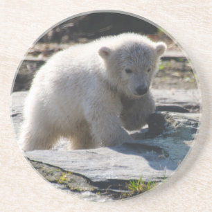 Porta-copos Urso 07