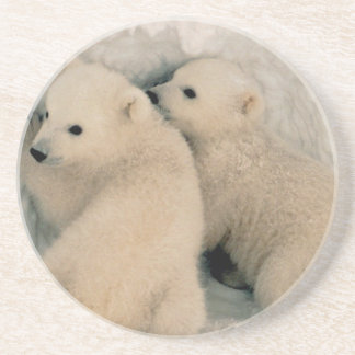 Porta-copos Urso Cubs polar do Alasca