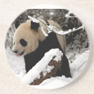 Porta-copos Urso Panda