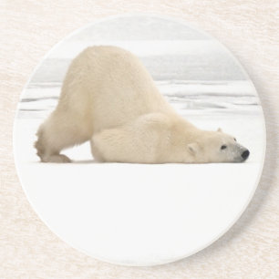 Porta-copos Urso polar coçando-se na tundra congelada