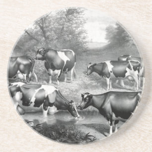 Porta-copos vacas da raça Holstein, vacas da raça fresian