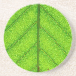 Porta copos verde da folha