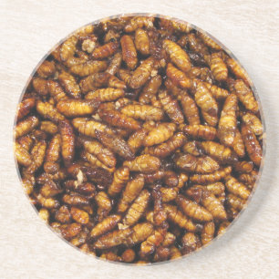 Porta-copos Vermes de Seda Secos... Comida da Rua Tailandesa