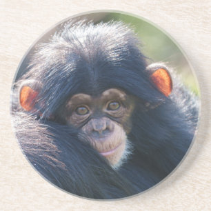 Porta-copos Viagem de Baby Chimpanzee