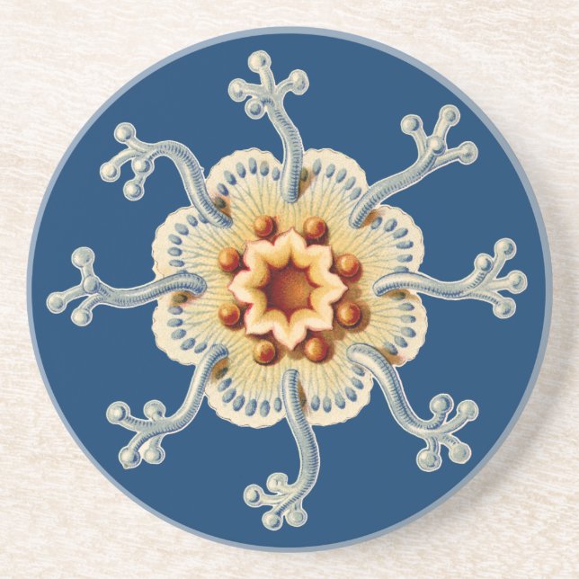 Porta-copos Vintage Haeckel (Frente)