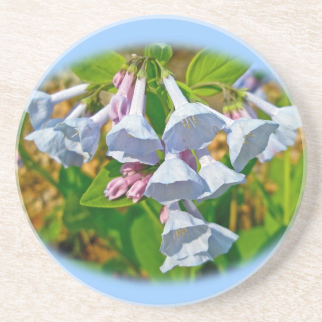 Porta-copos Virginia Bluebells Wildflower (Frente)