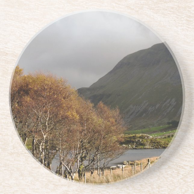 PORTA-COPOS VISÕES DAS PAREDES (Frente)