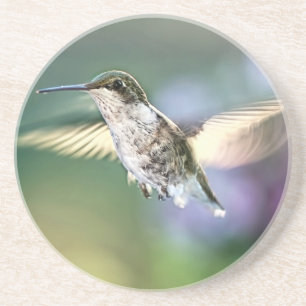 Porta-copos Voo de Hummingbird