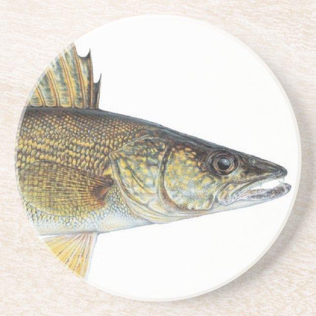 PORTA-COPOS WALLEYE (Frente)