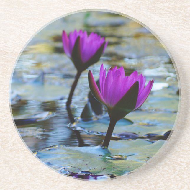 Porta-copos Waterlilies Coaster (Frente)